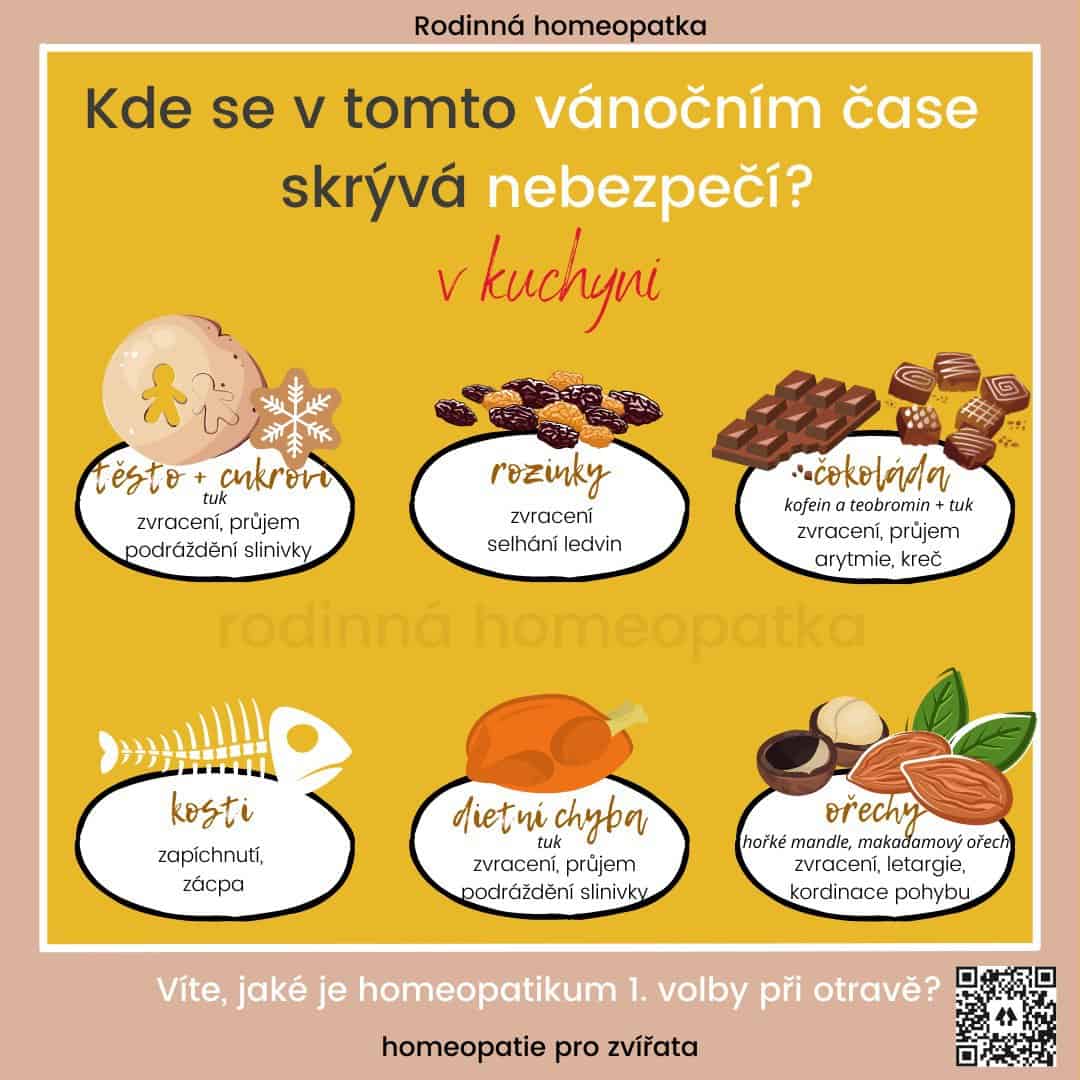 nebezpecne-potraviny_-otrava_-pes_kocka