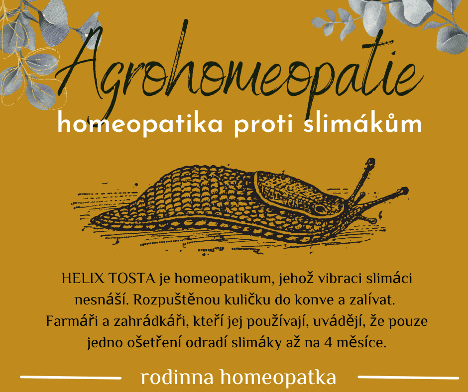 helix tosta homeopatikum odpuzující slimáky (bezpečně a přírodně)