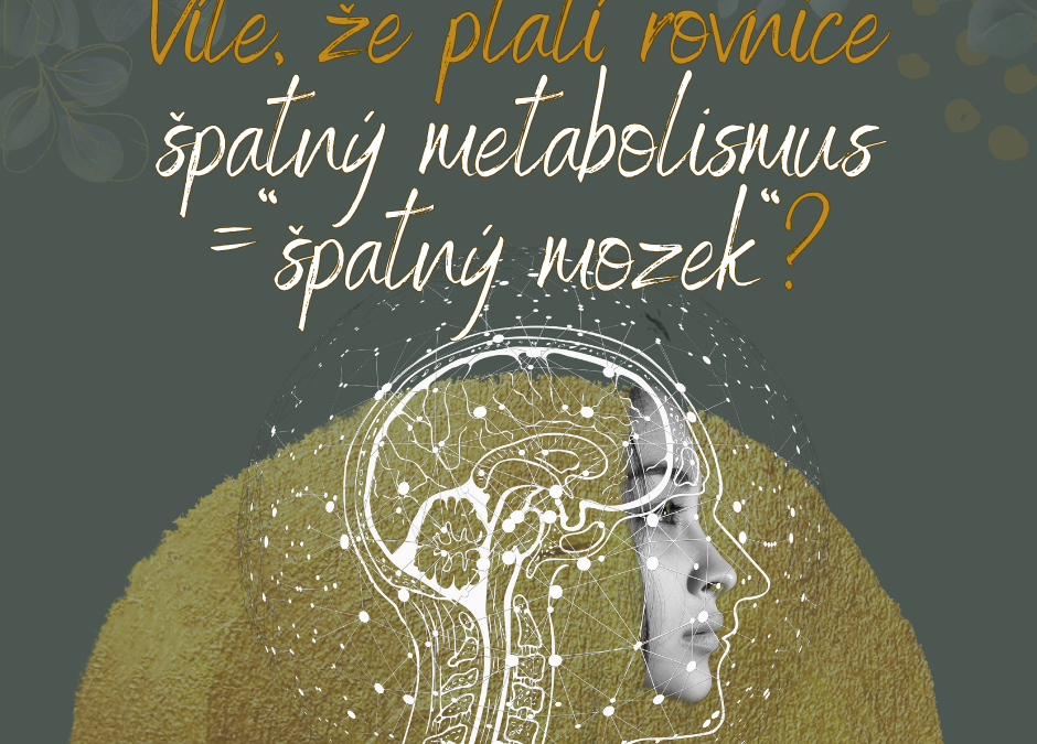 Mozek a&nbsp;zajímavosti